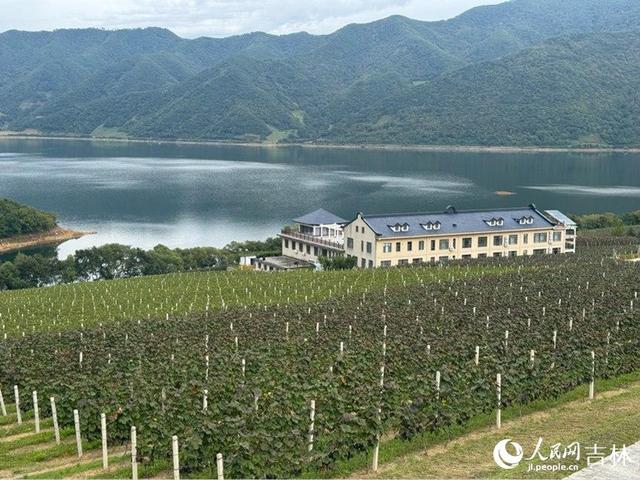 长白秘境 吉线331｜一缕酒香，漫越鸭绿江