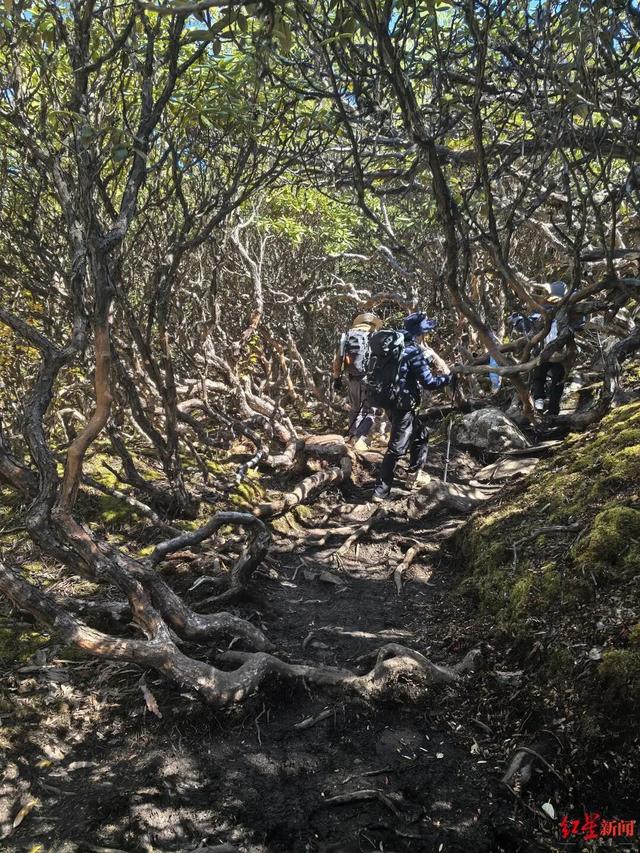 高海拔徒步成“最危险户外活动”之一 ，甘孜州拟出台措施加强登山活动监管