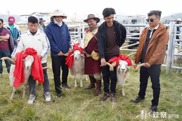 默勒镇第十届那达慕大会启幕 草原盛会绘就文旅融合新图景