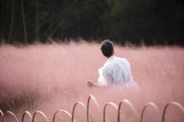 西安上新！高颜值秋景，正在加载！