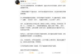 演唱会上两姐妹点歌引热议，刘若英深夜发长文致歉图片