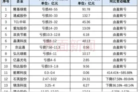 光伏成半年业绩下滑重灾区，十家公司亏了近200亿图片