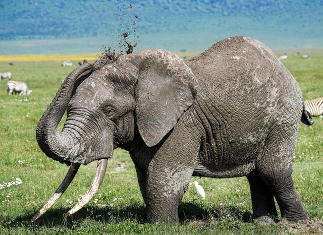 世界微笑日丨那些“天生爱笑”的萌物们