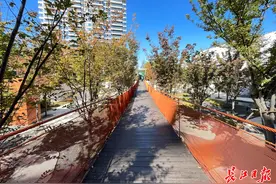 风雨连廊、下沉庭院，走进“好房子”就像“走进公园一样”图片