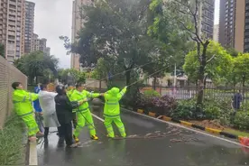 提前部署、一线坚守、灾后恢复，南沙小区物业齐心协力护家园图片