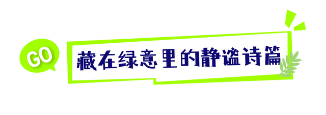 武汉蔡甸藏着一幅“生态画卷”：嵩阳山的秘密，你知道多少？