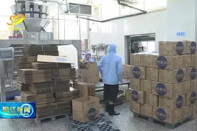 记者探访现代农业产业园图片