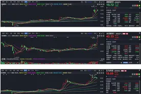跟着QFII淘金A股！摩根士丹利重点加仓新消费、医药、新材料图片