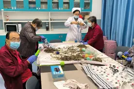 医护带领自制艾灸锤练习经络操，老人住院忙养生图片