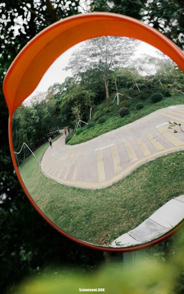 “看牛看海看夜景，深圳骑行路线精选”