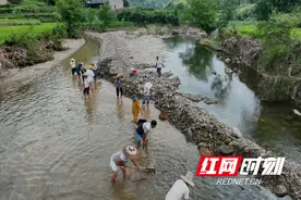 溆浦县低庄镇积极推进农业灾后自救工作图片