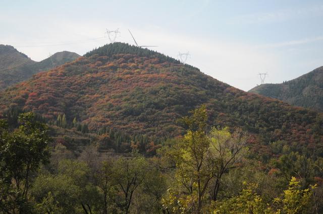 山东淄川：秋染山间斑斓彩