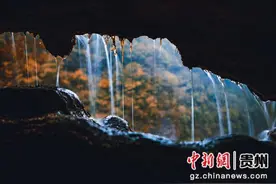 双河洞申报世界自然遗产科考启动图片
