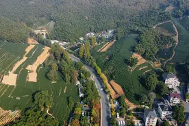 解锁新玩法，亚运后一起进入“泛文旅”动感新时代图片