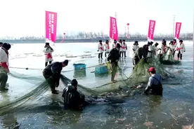 金凤区举行2025年阅海湖跨年冬捕节活动图片