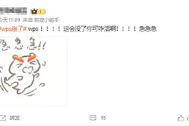 WPS崩了？打工人急疯！官方回应：逐步恢复中图片