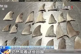 有人获刑3年多！出境游勿购这些“珍贵”食材回国图片