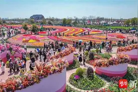 2046.80万人次，92.66亿元！清明假期江苏文旅消费“一路繁花”持续领跑全国图片