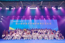 南少林非遗武术交流大会成功举办图片