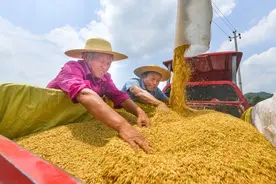 经济日报：粮食安全治理有了“护法神盾”图片