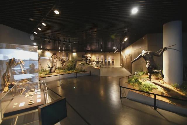 博物风情 | 在周口店遗址，遇见课本之外的历史