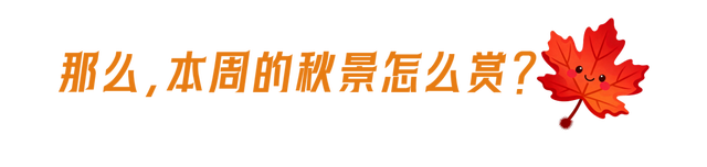栖霞山红叶实拍+周末活动，不信你不动心！