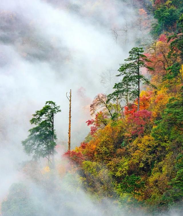 别等天晴了！雨天的秋日瓦屋，藏着你没见过的朦胧浪漫