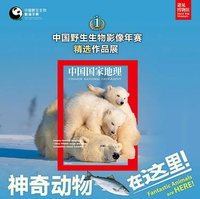 秦淮有展 | 12月展览推荐，赴一场冬日文艺之约~