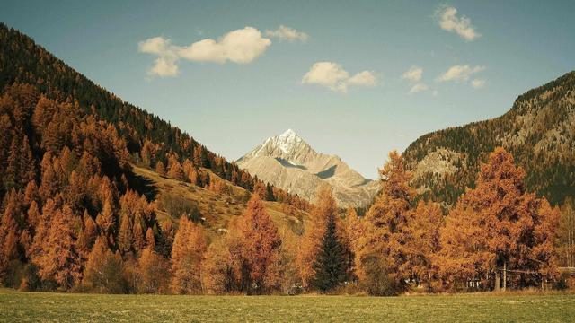 跟着电影去秋游｜这份精选秋日电影旅行地指南，请查收！