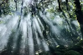 哀牢山里，究竟有什么？图片