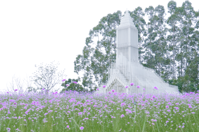 全网爆火！被里水这座浪漫岛屿惊艳到了！游玩攻略→