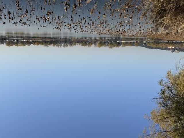 小雪宜出游，颐和园里游人赏初冬美景