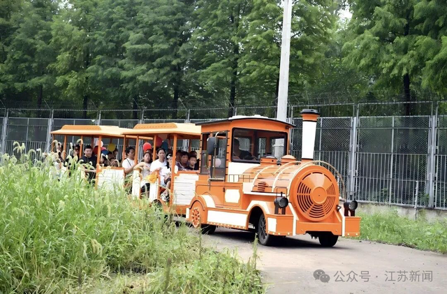 “苏超”夺冠后，泰州官宣：这些景区，免费！