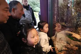 唯一有毒的蛇“土著”、会模仿蛇吐信的植物，上海公园绿地蛇味拉满图片