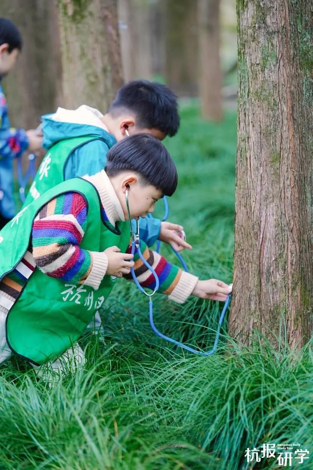 12.07 独立营｜冬日寻羽记：解码西湖候鸟的越冬密码！鸟类专家带队，探秘茅家埠“鸟类天堂”，体验听声辨鸟、飞羽寻踪的野趣周末！