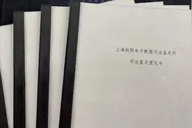 数据公司员工“监守自盗”被抓，顺藤摸瓜后发现这家公司竟然也是“黑店”图片