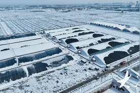 风雪中的“一抹橙”：昌乐消防清雪除冰，保障设施大棚生产安全图片