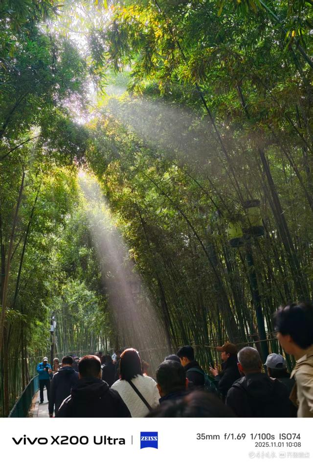 趵突泉公园里游人如织，我在记录