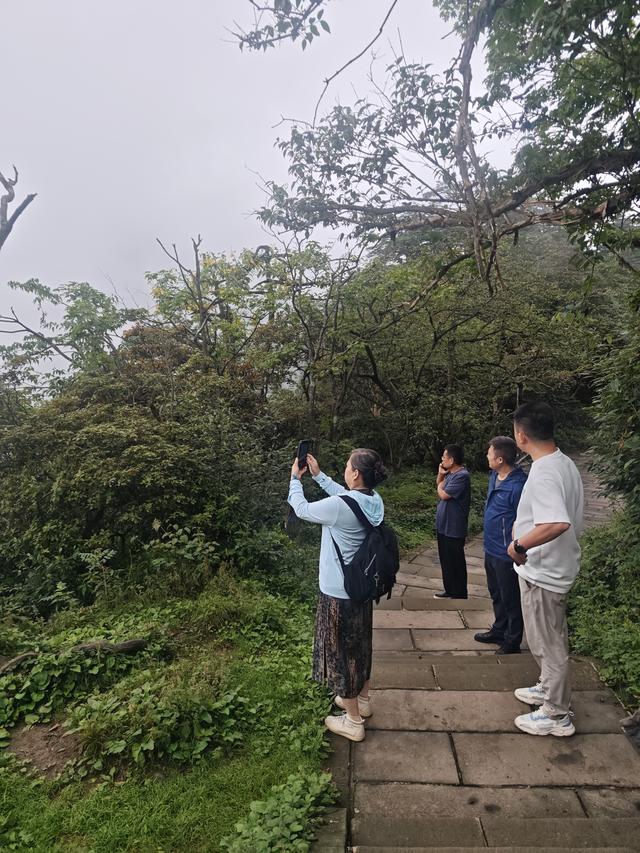 川渝25名专家齐聚乐山 为建设世界重要旅游目的地献智出力