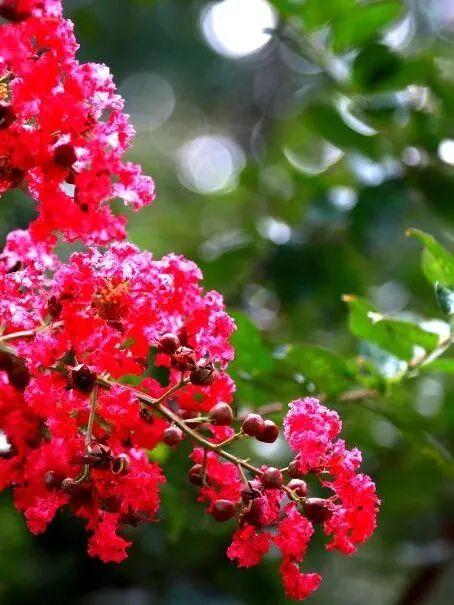 北京朝阳：全龄友好公园+1！