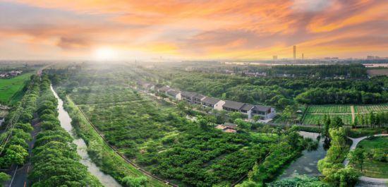 人在画中游！来上海郊野，骑进自然乡野秋韵里