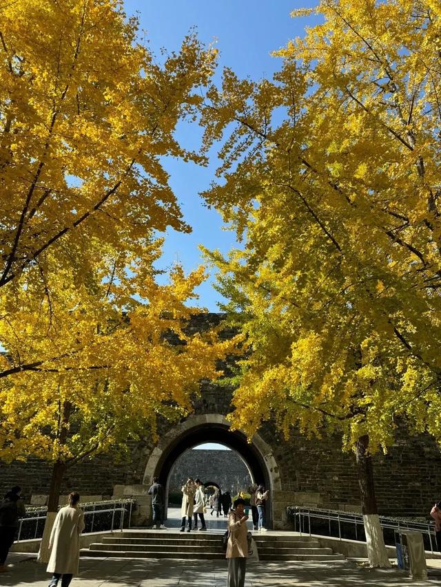 南京开始“下雪”了！