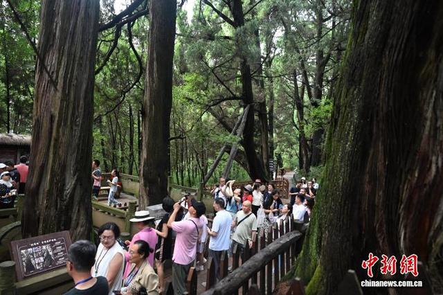 华文媒体行走翠云廊 领略千年古蜀道之美