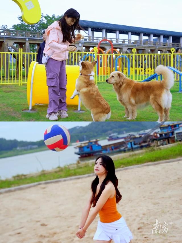 观三水｜璀璨烟火与百年文脉共舞，城市记忆“活”起来！