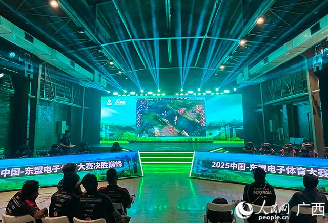2025中国—东盟电子体育产业活动周启幕