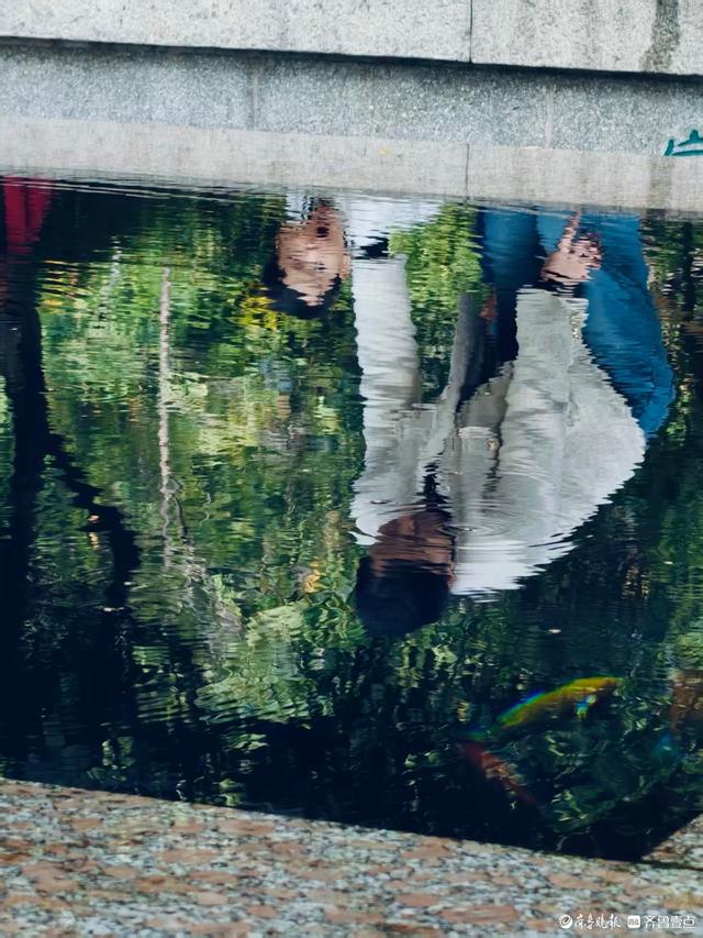 秋高气爽，济南观泉赏菊好时光