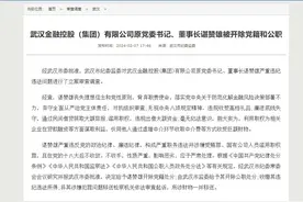 “租赁圈”多名高管“落马”，涉及这些银行系公司……图片