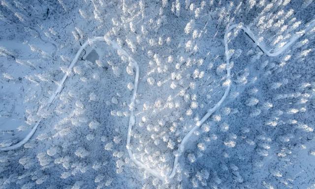 寒假遛娃必冲！瓦屋山冰雪仙境已上线，小神兽耍雪自由get！