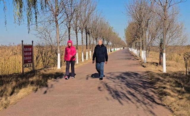 芦苇绘景 候鸟翩跹 官港森林公园初冬生态画卷灵动迷人