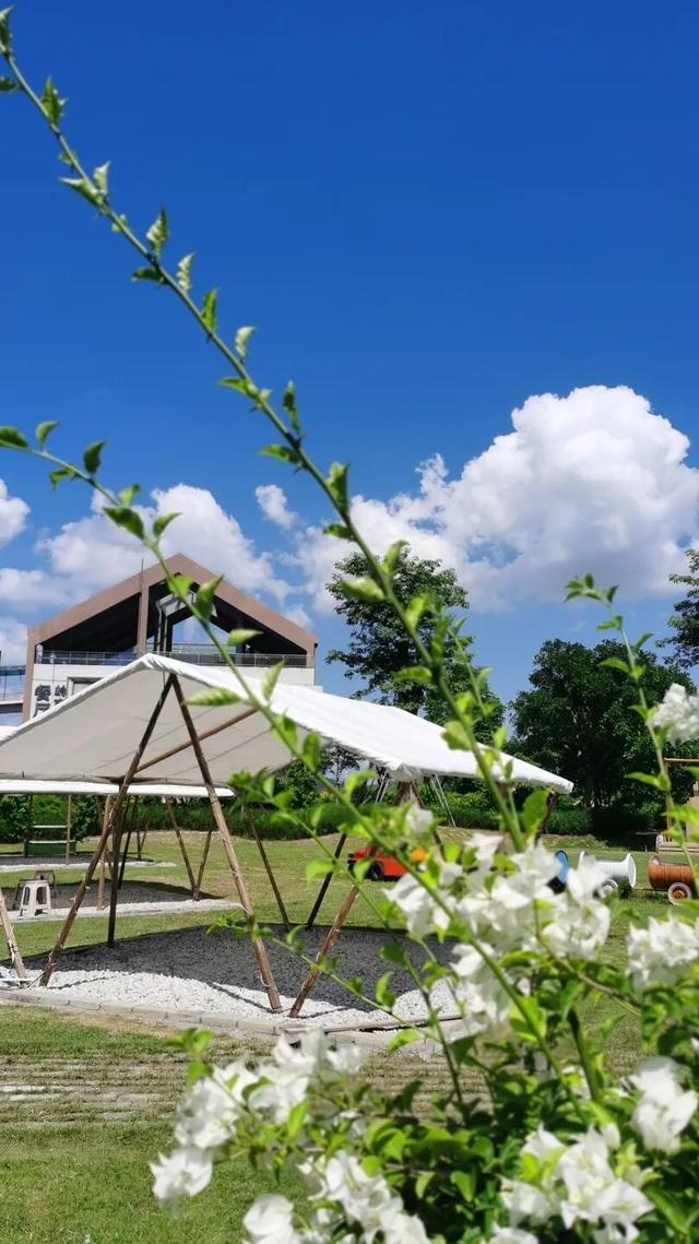 赏花撸萌宠、水果采摘、围炉煮茶……来珠海这里跨年，太精彩！